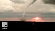 Image result for Luton Tornadoes