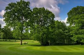 Image result for Cranleigh Golf & Leisure Club