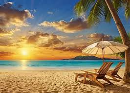 Image result for bilder