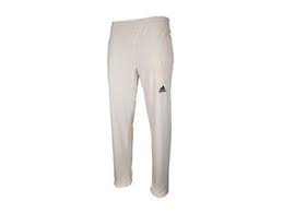 Image result for Clifton Alliance Cc