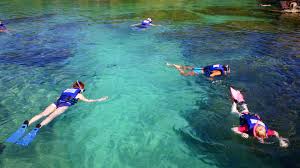 Image result for Ruislip Snorkelling Club