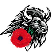 Image result for Basingstoke Buffalo