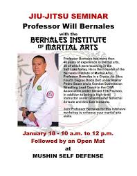 Image result for Mushin Kempo Jiu Jitsu Club
