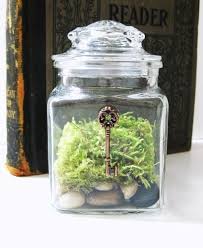Secret Garden Wedding Theme: Ideas? :  wedding secret garden wedding vintage garden whimsical Images?q=tbn:ANd9GcQBc ZAhhkacnNHqcU5MZ2FtcjpQlL4htqWamXppJw0XbwuzpupQg