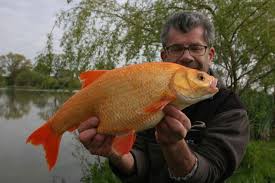 Image result for CALPAC Angling Club