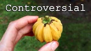 Attēlu rezultāti vaicājumam “Galium schultesii fruit”