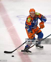 Image result for Sheffield Steelers
