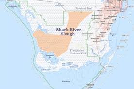 Image result for Slough Pirates