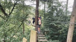 Image result for Go Ape! Dalby