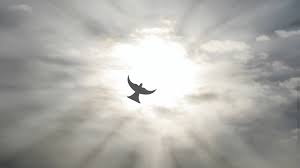 Image result for foto criação de deus