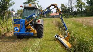 Image result for marolin tehron