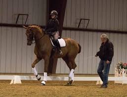 Image result for Uwe Riding Club