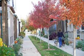 Image result for Retford and District Wheeler