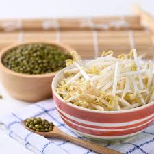Image result for bean sprout