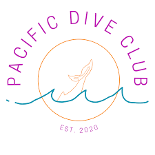 Image result for 3D Diving Club