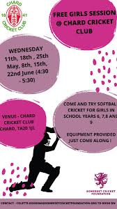 Image result for Chard Cricket Club