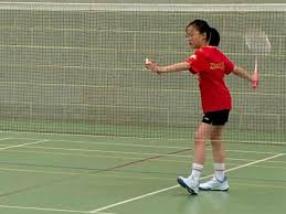 Image result for Ashton (Lancs) Badminton Club