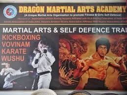 Image result for Dragon Martial Arts Association