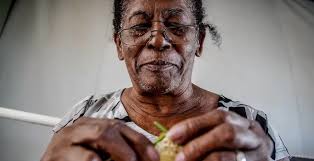 Resultado de imagem para mulher idosa