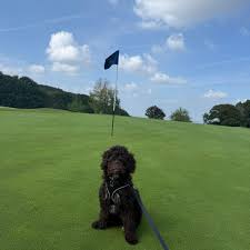 Image result for Wrekin Golf Club