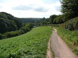 Image result for Dulverton Cc