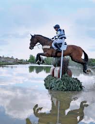 Image result for Dorking Badminton Club/Dorking Junior B C