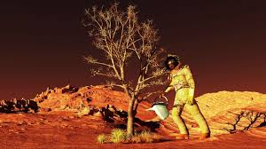 Image result for mars trees