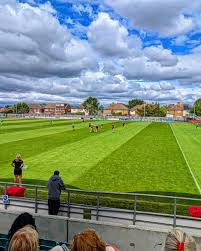 Image result for Green Isle Camogie Club - Players Wanted!