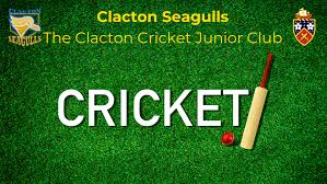 Image result for Clacton Cricket Club