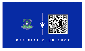 Image result for Nottingham Outlaws