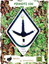 Image result for site:net pino◆MatthewZ8E