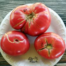 Afbeeldingsresultaat voor earl faux tomato