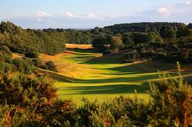Image result for Notts Golf Club Ltd