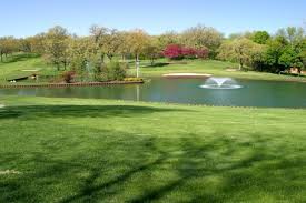 Image result for Elgin Scrabble Club