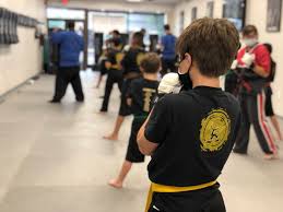 Image result for Action Karate