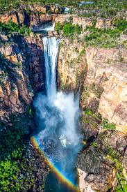 Billedresultat for kakadu n...