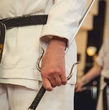 Image result for Aylesbury Vale Seido Karate