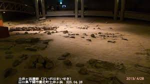 Image result for 土井ヶ浜遺跡　視線　故郷