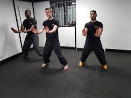 Image result for Shaolin Ancestors kung Fu School