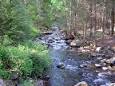 ncli: Explore Connecticut State Parks