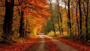 Image result for Приметы