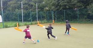 Image result for Torquay Cricket Club