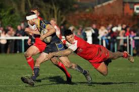 Image result for Haresfinch Amateur Rugby League Football Club