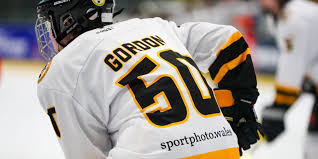 Image result for Cardiff Comets Ladies Ice Hockey