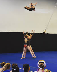 Image result for Sports Acro