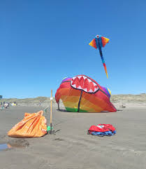 Image result for Brighton Kite Fliers