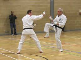 Image result for Kenshukai Karate
