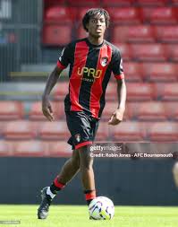 Image result for Harbertonford A F C