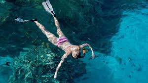 Image result for East Snorkellers
