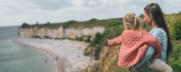 Image result for stevns klint